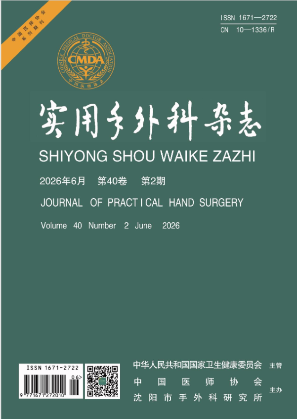实用手外科杂志